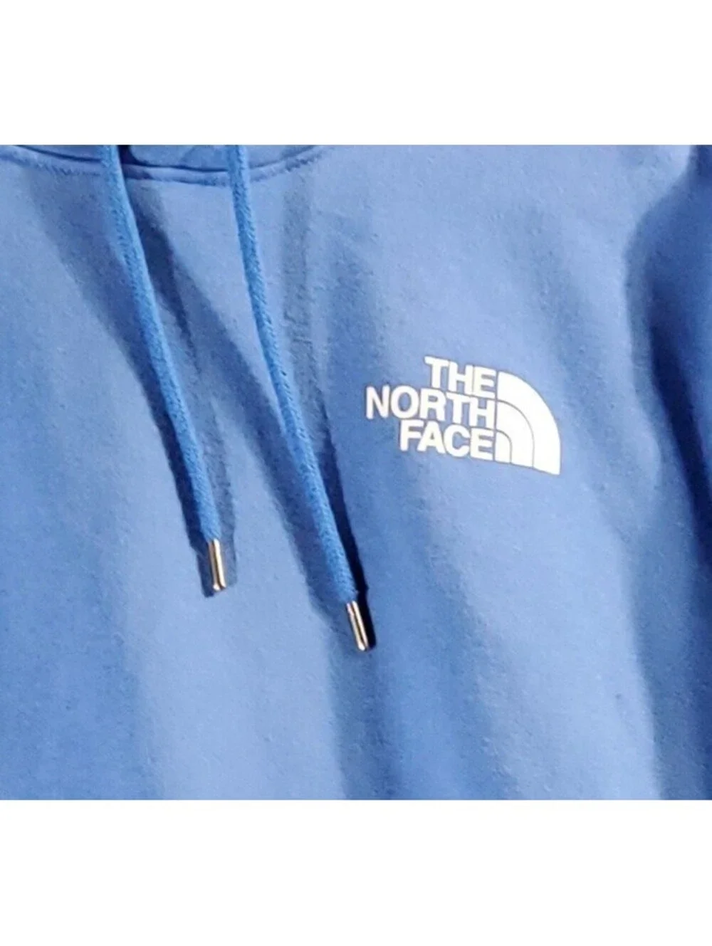 The North Face great north